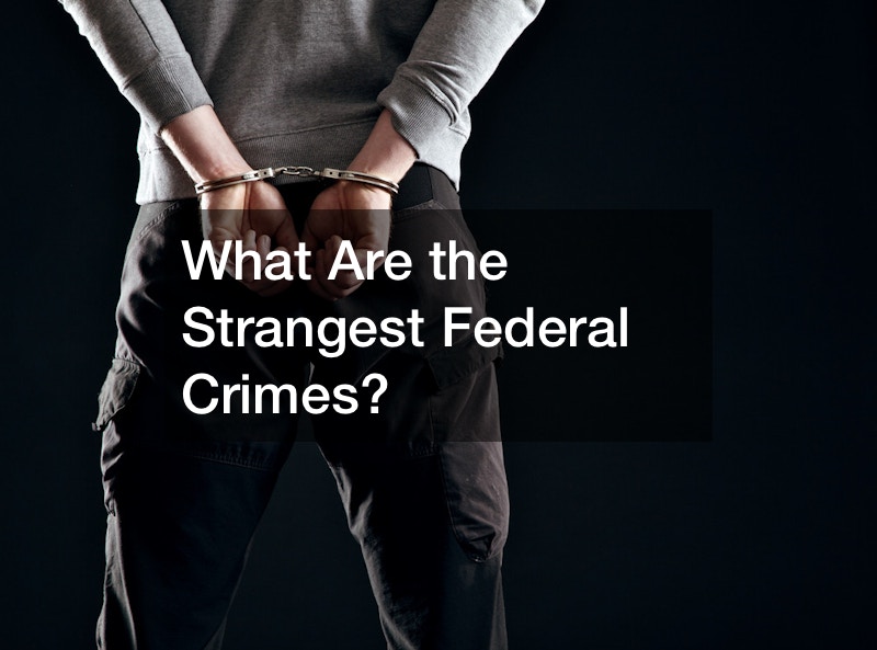 What Are the Strangest Federal Crimes?